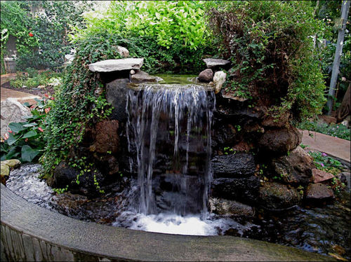Manufacturers Exporters and Wholesale Suppliers of Exotic Waterfall New Delhi Delhi